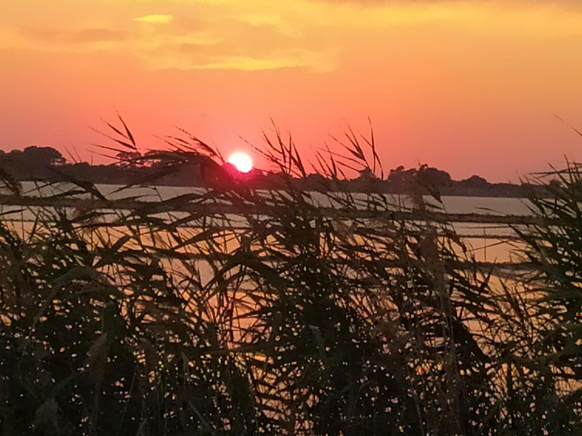 Sunrise Stagnone - Kitesurf Spot Bed & Breakfast Marsala Room photo