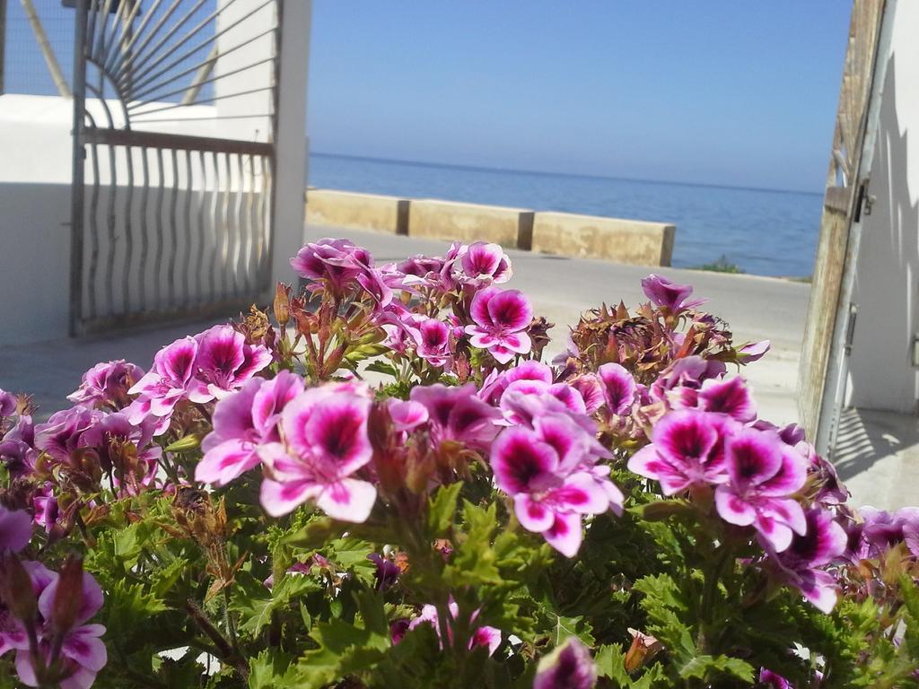 Sunrise Stagnone - Kitesurf Spot Bed & Breakfast Marsala Room photo