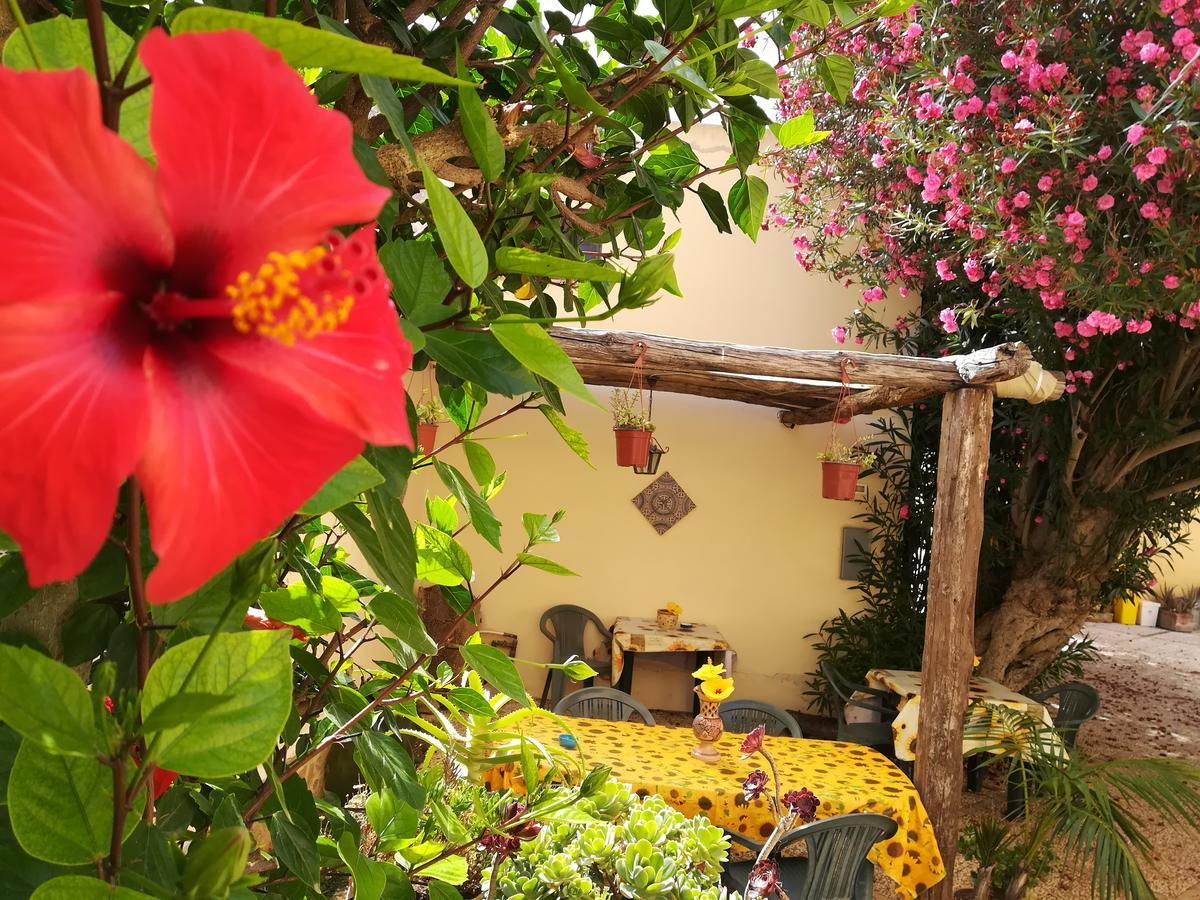 Sunrise Stagnone - Kitesurf Spot Bed & Breakfast Marsala Exterior photo